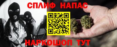 дмт Кингисепп