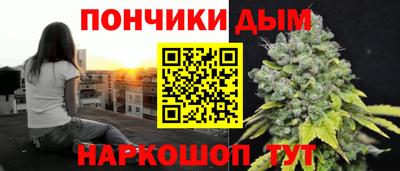 дурь Камышлов