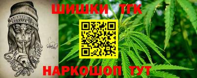 МДПВ Канаш