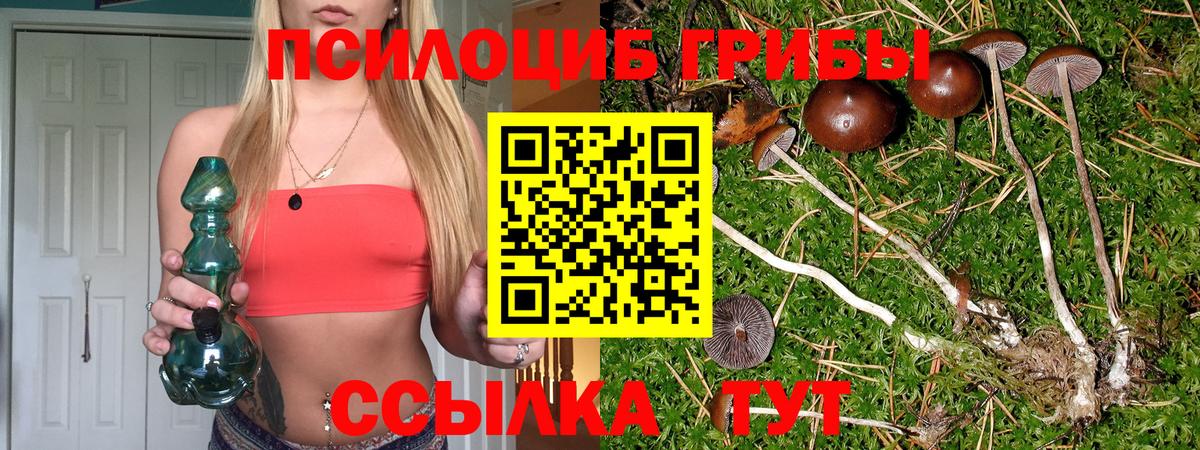 Псилоцибиновые грибы Magic Shrooms  Вход с VPN  Чебоксары 