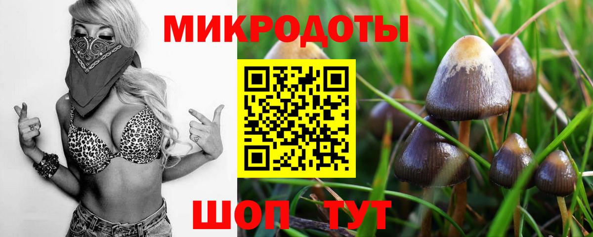 Галлюциногенные грибы Magic Shrooms Чебоксары